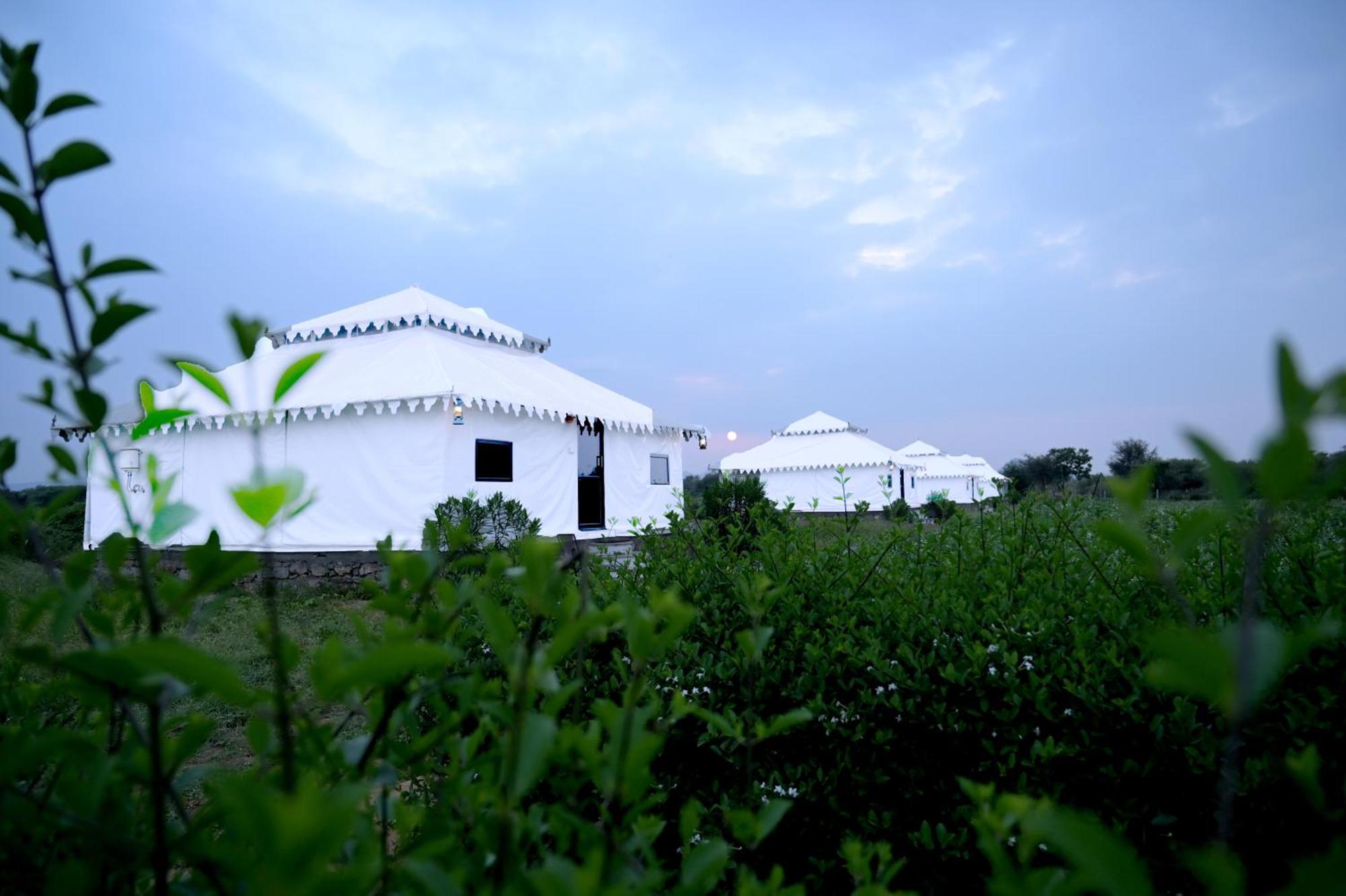 Отель The Bagheera Bagh Jawai Бера Экстерьер фото